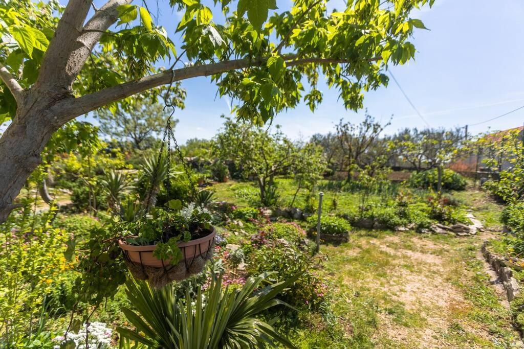 Peaceful House In Nature Nearby National Park Krka Bristane Luaran gambar